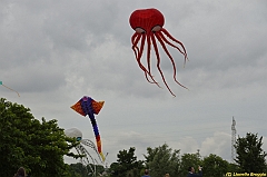 Venice kite festival_0326